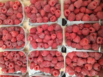 Framboises