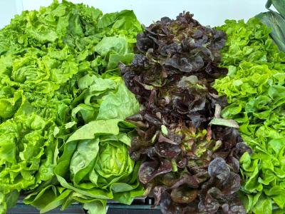 Salades